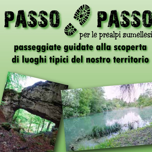 Passo dopo passo per le Prealpi Zumellesi 